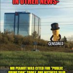 Mr Peanut | IN OTHER NEWS-; MR PEANUT WAS CITED FOR "PUBLIC URINATION" TODAY. ONE WITNESS SAID "NOW I KNOW WHY HE IS CALLED MR PEANUT" | image tagged in mr peanut public urination,peanut,public,urinal | made w/ Imgflip meme maker