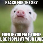 cute pig | REACH FOR THE SKY; EVEN IF YOU FALL, THERE WILL BE PEOPLE AT YOUR FUNERAL. | image tagged in cute pig | made w/ Imgflip meme maker