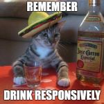 alcohol cat | REMEMBER; DRINK RESPONSIVELY | image tagged in alcohol cat | made w/ Imgflip meme maker