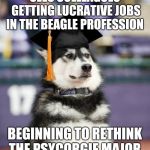 Graduate Dog | SEES COLLEAGUES GETTING LUCRATIVE JOBS IN THE BEAGLE PROFESSION; BEGINNING TO RETHINK THE PSYCORGIE MAJOR | image tagged in graduate dog | made w/ Imgflip meme maker