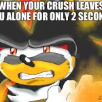 Shadow the Hedgehog Crying | WHEN YOUR CRUSH LEAVES YOU ALONE FOR ONLY 2 SECONDS | image tagged in shadow the hedgehog crying | made w/ Imgflip meme maker