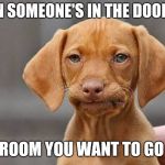 Disappointed Dog | WHEN SOMEONE'S IN THE DOORWAY; TO A ROOM YOU WANT TO GO INTO | image tagged in disappointed dog | made w/ Imgflip meme maker