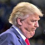 Ugly trump picture 2