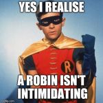 Robin | YES I REALISE; A ROBIN ISN'T INTIMIDATING | image tagged in robin,how tough am i,meme | made w/ Imgflip meme maker