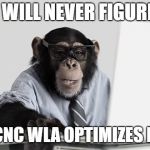Computer Monkey | THEY WILL NEVER FIGURE OUT; HOW LCNC WLA OPTIMIZES MSCCM | image tagged in computer monkey | made w/ Imgflip meme maker