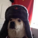 communist dog | WHEN UR DOG SHARE FOOD WITH OTHER DOGS; ''SOVIET ANTHEM PLAYS'' | image tagged in communist dog | made w/ Imgflip meme maker