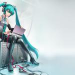 Miku on her laptop