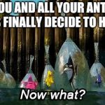 Now What? Meme Generator - Imgflip
