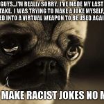 sorry pug | GUYS...I'M REALLY SORRY.  I'VE MADE MY LAST MISTAKE.  I WAS TRYING TO MAKE A JOKE MYSELF, BUT IT TURNED INTO A VIRTUAL WEAPON TO BE USED AGAINST ME. I WILL MAKE RACIST JOKES NO MORE. | image tagged in sorry pug,apology | made w/ Imgflip meme maker