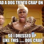 Rappers these days | I HAD A DOG TRY TO CRAP ON ME; SO I DRESSED UP LIKE THIS ...... DOG CRAP | image tagged in rappers these days | made w/ Imgflip meme maker