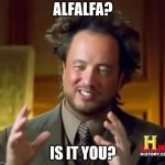 It's Alfalfa | ALFALFA? IS IT YOU? | image tagged in it's alfalfa | made w/ Imgflip meme maker