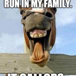 Inspired by Craziness_all_the_way's tagline.  | CRAZINESS DOESN'T RUN IN MY FAMILY. IT GALLOPS. | image tagged in horsesmile,craziness_all_the_way | made w/ Imgflip meme maker