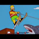 Homer jumps the shark
