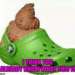 You know what it is!!! | I THINK YOU ALREADY KNOW WHAT THIS IS | image tagged in crock of shit,memes,crocs,shoes,funny,crapola | made w/ Imgflip meme maker
