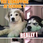 Dog bad joke | DID YOU HEAR ABOUT THE KIDNAPPING AT SCHOOL  ? REALLY ! IT’S O.K...HE WOKE UP | image tagged in dog bad joke,kidnapping,miss heard,punny | made w/ Imgflip meme maker