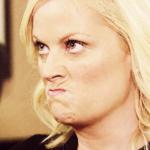 Amy Poehler meme