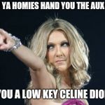 Celine Dion | WHEN YA HOMIES HAND YOU THE AUX CORD; BUT YOU A LOW KEY CELINE DION FAN | image tagged in celine dion | made w/ Imgflip meme maker