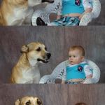 Dog and Baby | KOMM....DER FLIEGER GEHT GLEICH; JA, IN 4 STUNDEN, DU OBERKROKODIL | image tagged in dog and baby | made w/ Imgflip meme maker