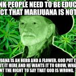 Willyweed | I THINK PEOPLE NEED TO BE EDUCATED TO THE FACT THAT MARIJUANA IS NOT A DRUG.? MARIJUANA IS AN HERB AND A FLOWER. GOD PUT IT HERE. IF HE PUT IT HERE AND HE WANTS IT TO GROW, WHAT GIVES THE GOVERNMENT THE RIGHT TO SAY THAT GOD IS WRONG. ~ WILLIE NELSON | image tagged in willyweed | made w/ Imgflip meme maker