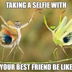 Dancing Mantis | TAKING A SELFIE WITH; YOUR BEST FRIEND BE LIKE | image tagged in dancing mantis | made w/ Imgflip meme maker