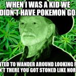 Willyweed | WHEN I WAS A KID WE DIDN'T HAVE POKEMON GO. IF YOU WANTED TO WANDER AROUND LOOKING FOR THINGS THAT WEREN'T THERE YOU GOT STONED LIKE NORMAL PEOPLE. | image tagged in willyweed | made w/ Imgflip meme maker