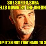 Tongue Twishters with Sean Connery | SHE SHELLS SHEA SHELLS DOWN BY THE SHESHORE; SHEE? IT'SH NOT THAT HARD TO SHAY | image tagged in sean connery of coursh,funny,memes,tongue twister | made w/ Imgflip meme maker