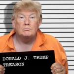 DJT Treason