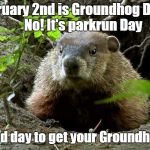 Groundhog parkrun | February 2nd is Groundhog Day?              No! It's parkrun Day; But a good day to get your Groundhog Badge | image tagged in groundhog | made w/ Imgflip meme maker