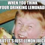 Friends are roasting you | WHEN YOU THINK YOUR DRINKING LEMONADE; BUT IT'S JUST LEMON JUICE | image tagged in friends are roasting you | made w/ Imgflip meme maker