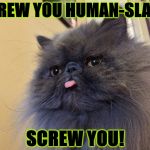 SCREW YOU | SCREW YOU HUMAN-SLAVE! SCREW YOU! | image tagged in screw you | made w/ Imgflip meme maker