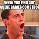Shocked Face | WHEN YOU FIND OUT WHERE BABIES COME FROM | image tagged in shocked face | made w/ Imgflip meme maker