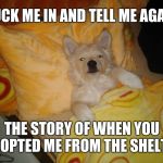 One of the few things I've done right in life is rescuing my dog from the county animal shelter. | TUCK ME IN AND TELL ME AGAIN; THE STORY OF WHEN YOU ADOPTED ME FROM THE SHELTER | image tagged in sleeping dog,memes,animal rescue,pound,man's best friend,dogs | made w/ Imgflip meme maker