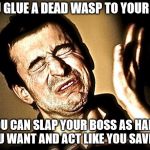 face slap | IF YOU GLUE A DEAD WASP TO YOUR PALM, YOU CAN SLAP YOUR BOSS AS HARD AS YOU WANT AND ACT LIKE YOU SAVED HIM | image tagged in face slap | made w/ Imgflip meme maker