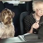 Dog and Grandma