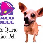 Taco Bell Dog