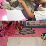 Cat Drawing meme