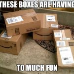 Amazon boxes on porch | THESE BOXES ARE HAVING; TO MUCH FUN | image tagged in amazon boxes on porch | made w/ Imgflip meme maker
