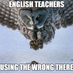 Owl Hunts Mouse | ENGLISH TEACHERS; USING THE WRONG THERE | image tagged in owl hunts mouse,funny,memes,secret tag,english,school | made w/ Imgflip meme maker