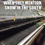 Empty Grocery Store | WHEN THEY MENTION SNOW IN THE SOUTH | image tagged in empty grocery store | made w/ Imgflip meme maker