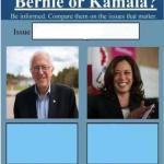 Bernie vs Kamala meme