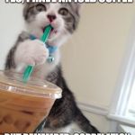 kitten with starbucks iced latte | YES, I'M LATE FOR WORK. YES, I HAVE AN ICED COFFEE; BUT REMEMBER, CORRELATION DOES NOT IMPLY CAUSATION | image tagged in kitten with starbucks iced latte | made w/ Imgflip meme maker
