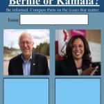Bernie vs Kamala meme