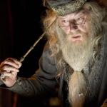 Dumbledore Wisdom