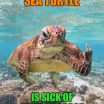 The shell with you! | SEA TURTLE; IS SICK OF YOUR GARBAGE | image tagged in grumpy sea turtle,flipping the bird,ocean,pollution,funny memes | made w/ Imgflip meme maker