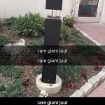 Rare giant juul