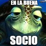 Finding Nemo turtle | EN LA BUENA; SOCIO | image tagged in finding nemo turtle | made w/ Imgflip meme maker