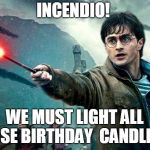 Harry Potter wand fire | INCENDIO! WE MUST LIGHT ALL THOSE BIRTHDAY  CANDLES!!! | image tagged in harry potter wand fire | made w/ Imgflip meme maker