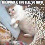 Mr Stark I don't feel so good... | MR.HUMAN, I NO FEEL SO GWD | image tagged in mr stark i don't feel so good | made w/ Imgflip meme maker