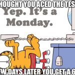 My reaction after every test  | THOUGHT YOU ACED THE TEST; FEW DAYS LATER YOU GET A 61 | image tagged in garfield hates mondays,bad day | made w/ Imgflip meme maker