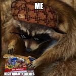 raccoon  | ME; HIGH QUALITY MEMES PEOPLE DON'T GET IT | image tagged in raccoon | made w/ Imgflip meme maker